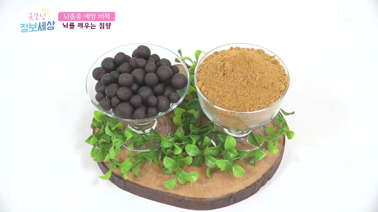 굿모닝 정보세상 113회 