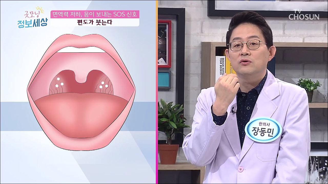 굿모닝 정보세상 115회