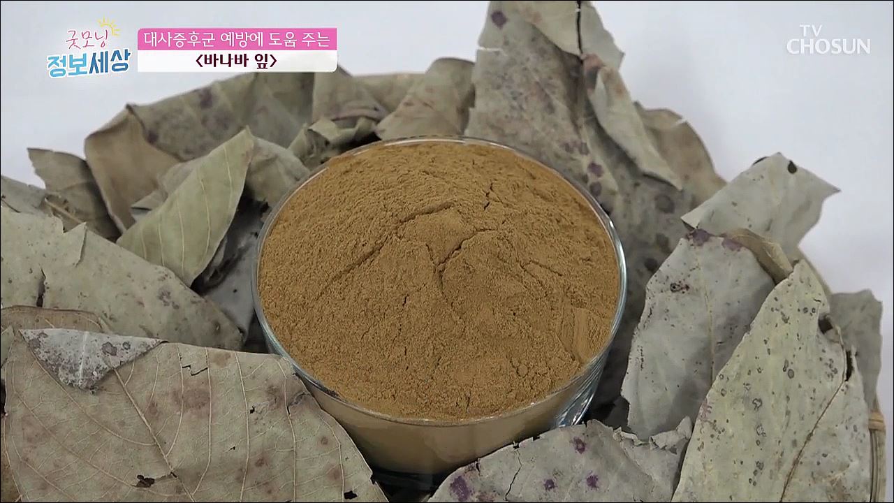 굿모닝 정보세상 117회