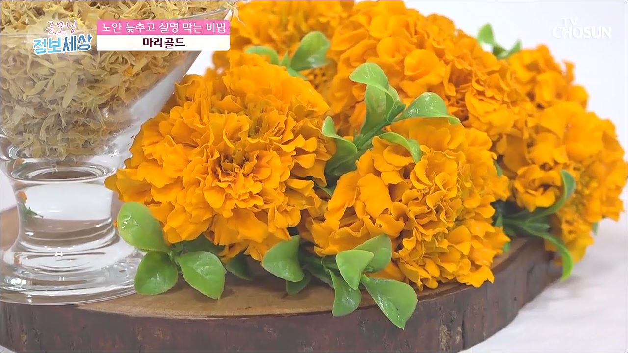 굿모닝 정보세상 122회