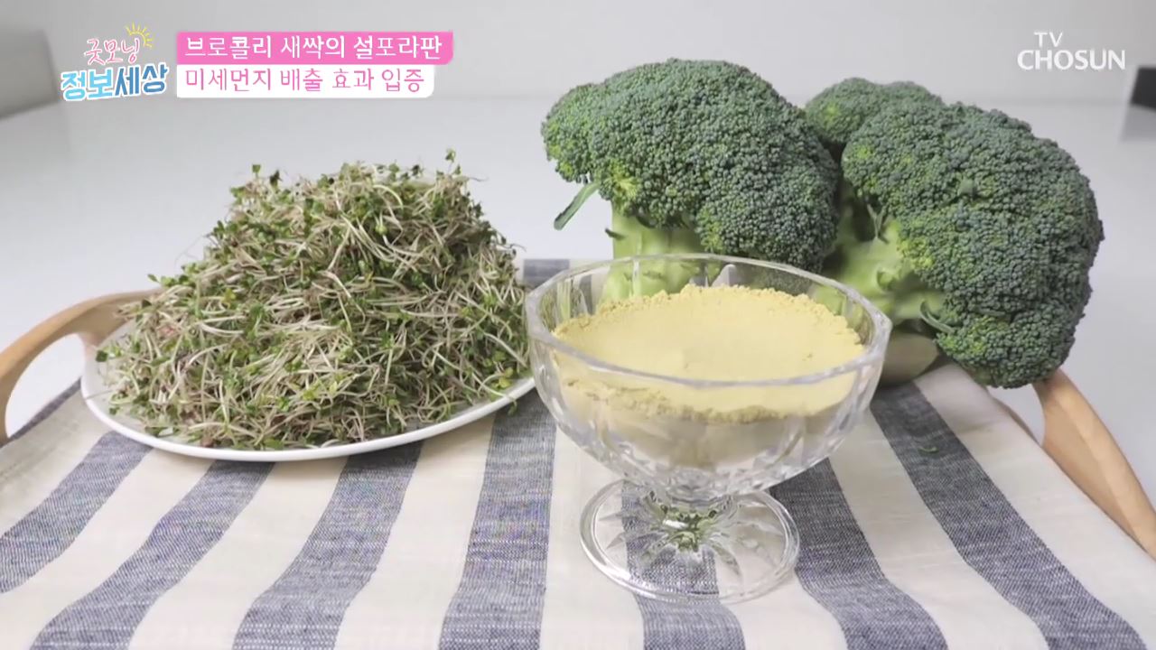 굿모닝 정보세상 126회