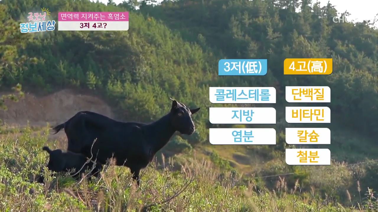 굿모닝 정보세상 127회
