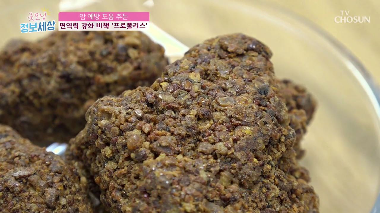 굿모닝 정보세상 128회