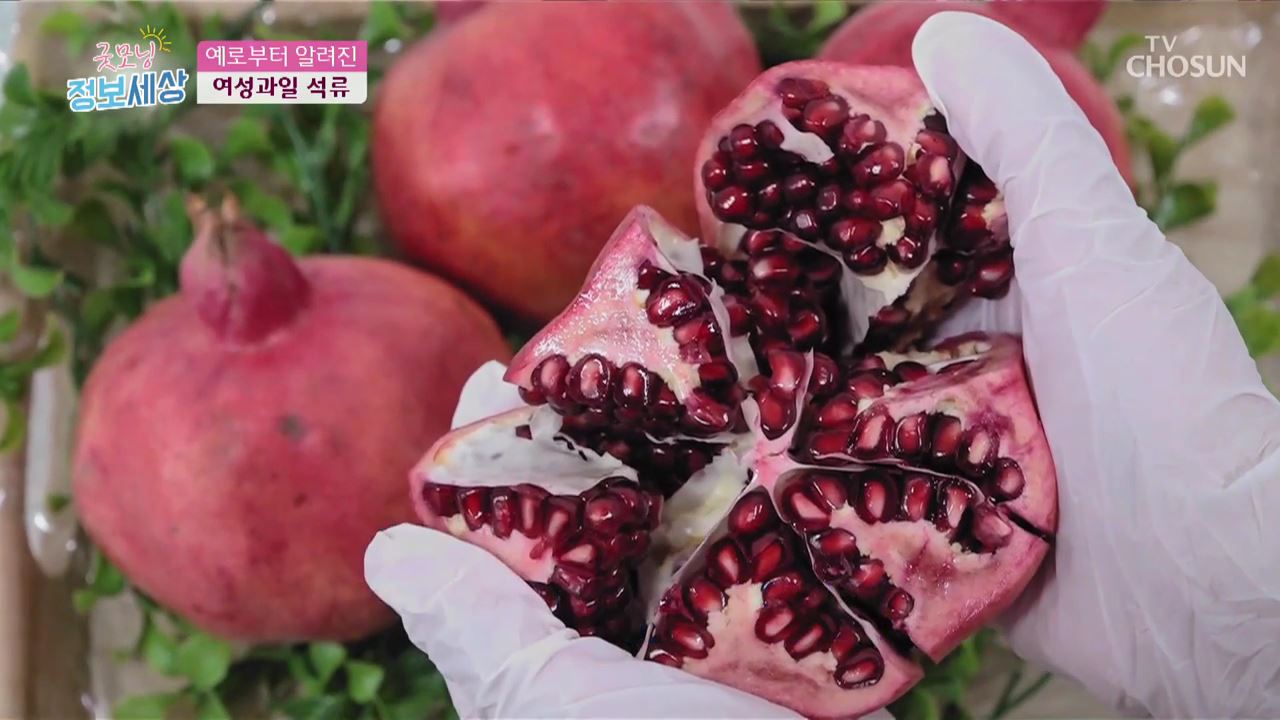 굿모닝 정보세상 133회