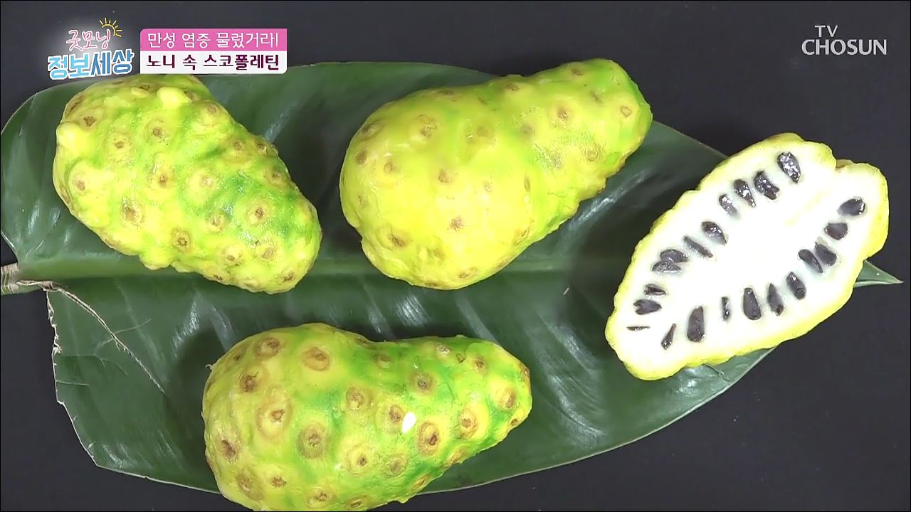 굿모닝 정보세상 135회