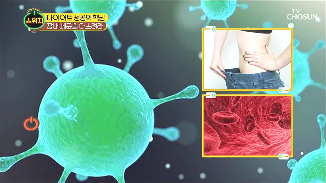 스위치 29회