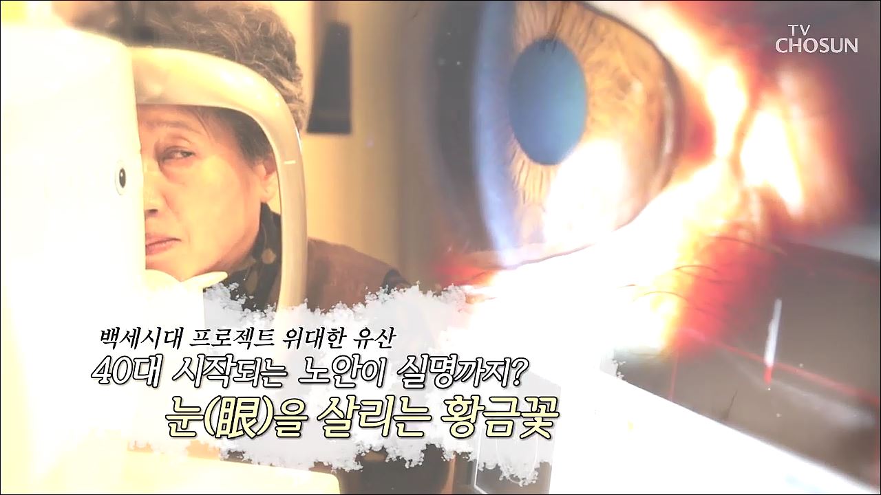 백세시대 프로젝트 위대한 유산 65회  