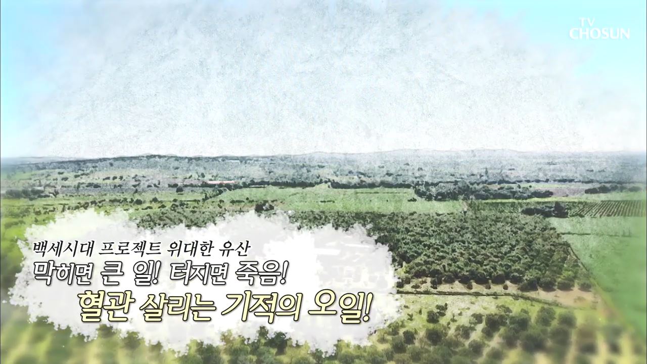 백세시대 프로젝트 위대한 유산 66회