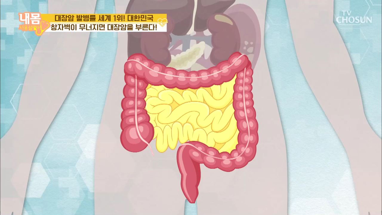 내 몸 사용 설명서 290회 