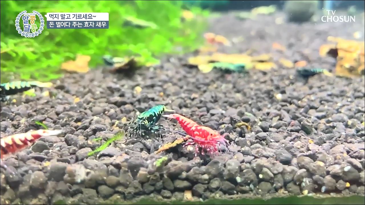 알콩달콩 21회