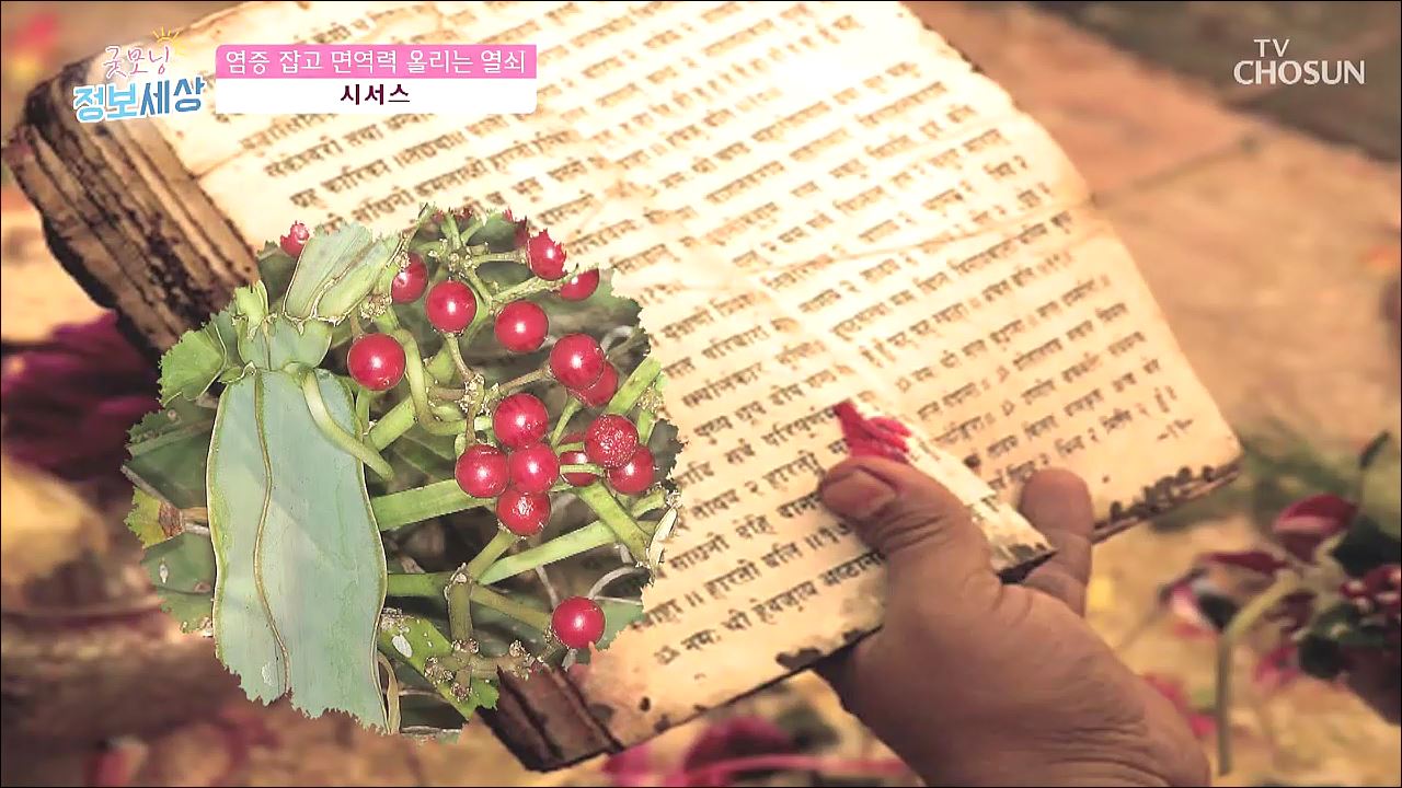 굿모닝 정보세상 172회