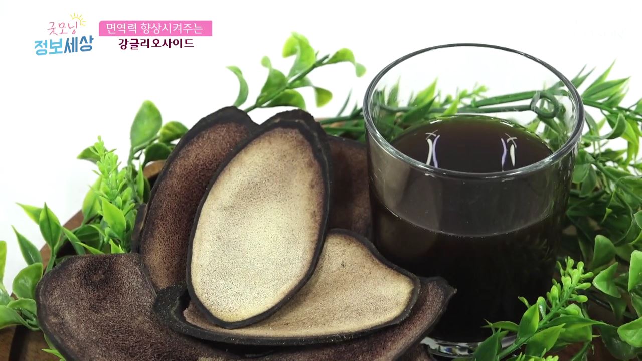 굿모닝 정보세상 174회