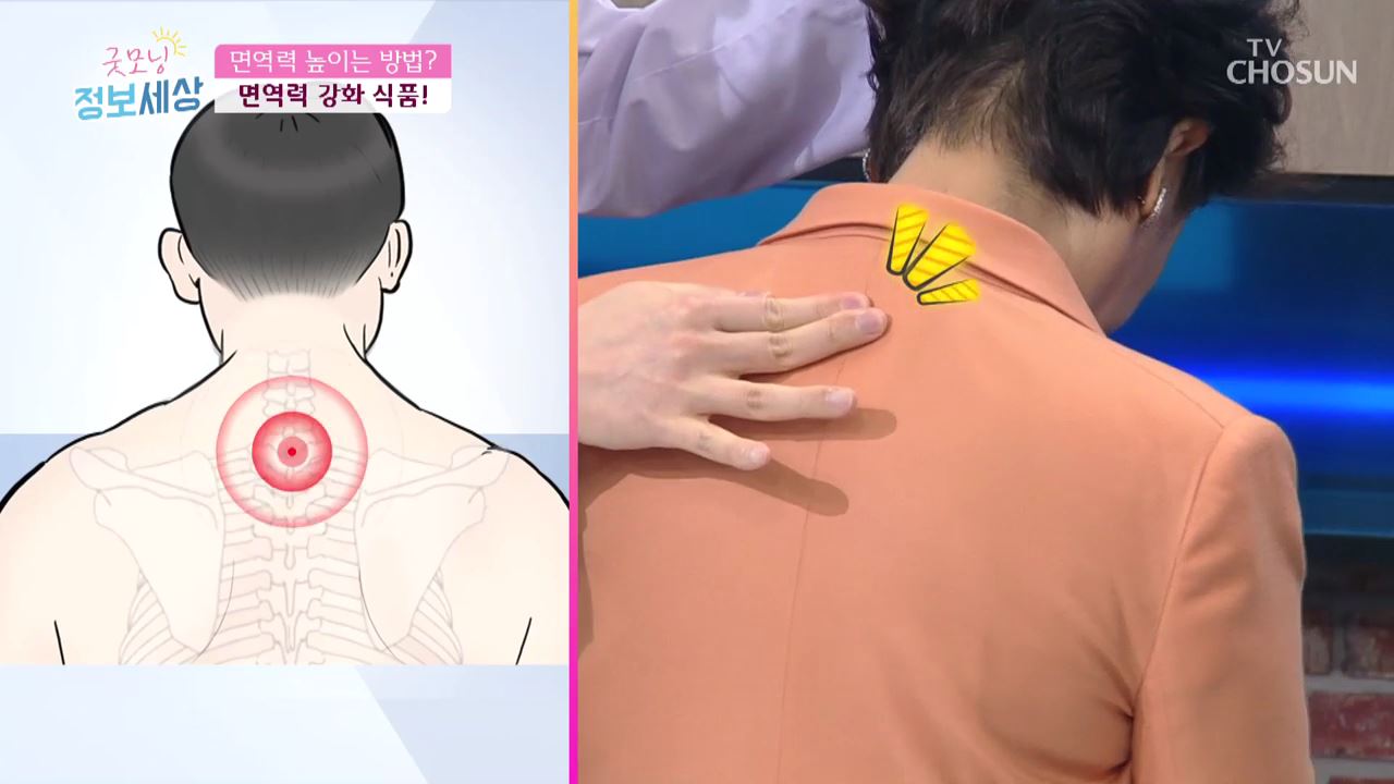 굿모닝 정보세상 175회