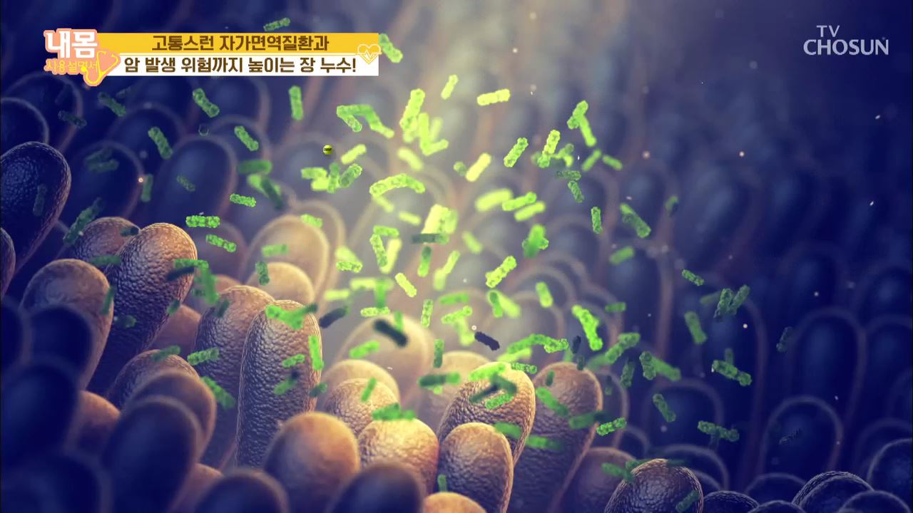 내 몸 사용 설명서 294회