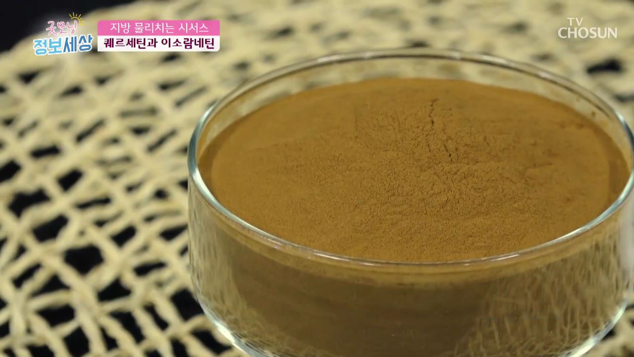 굿모닝 정보세상 181회