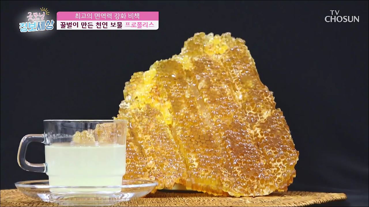 굿모닝 정보세상 182회