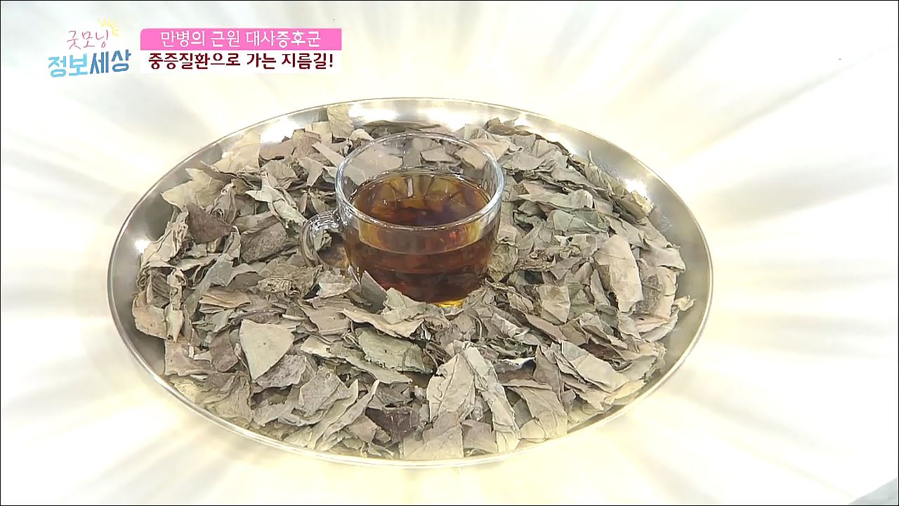 굿모닝 정보세상 183회