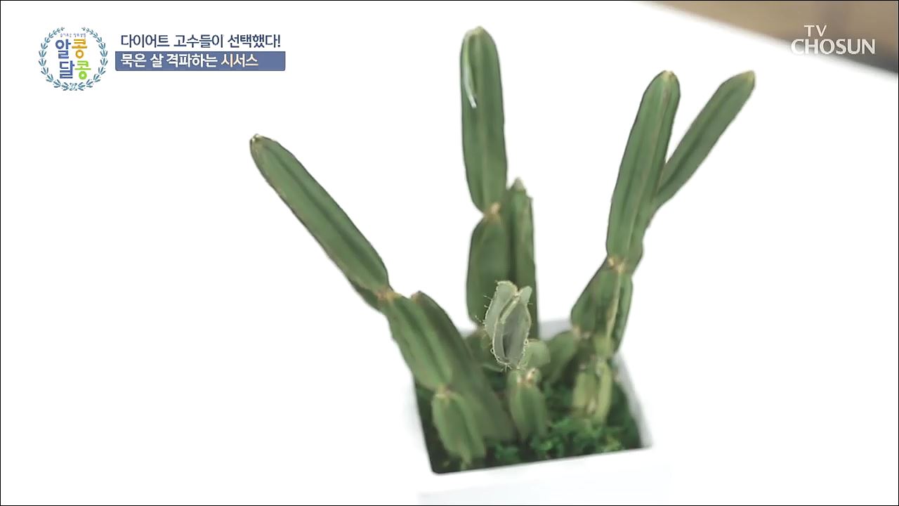  알콩달콩 25회