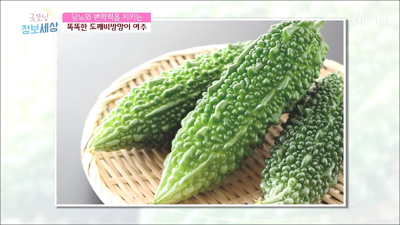 굿모닝 정보세상 187회