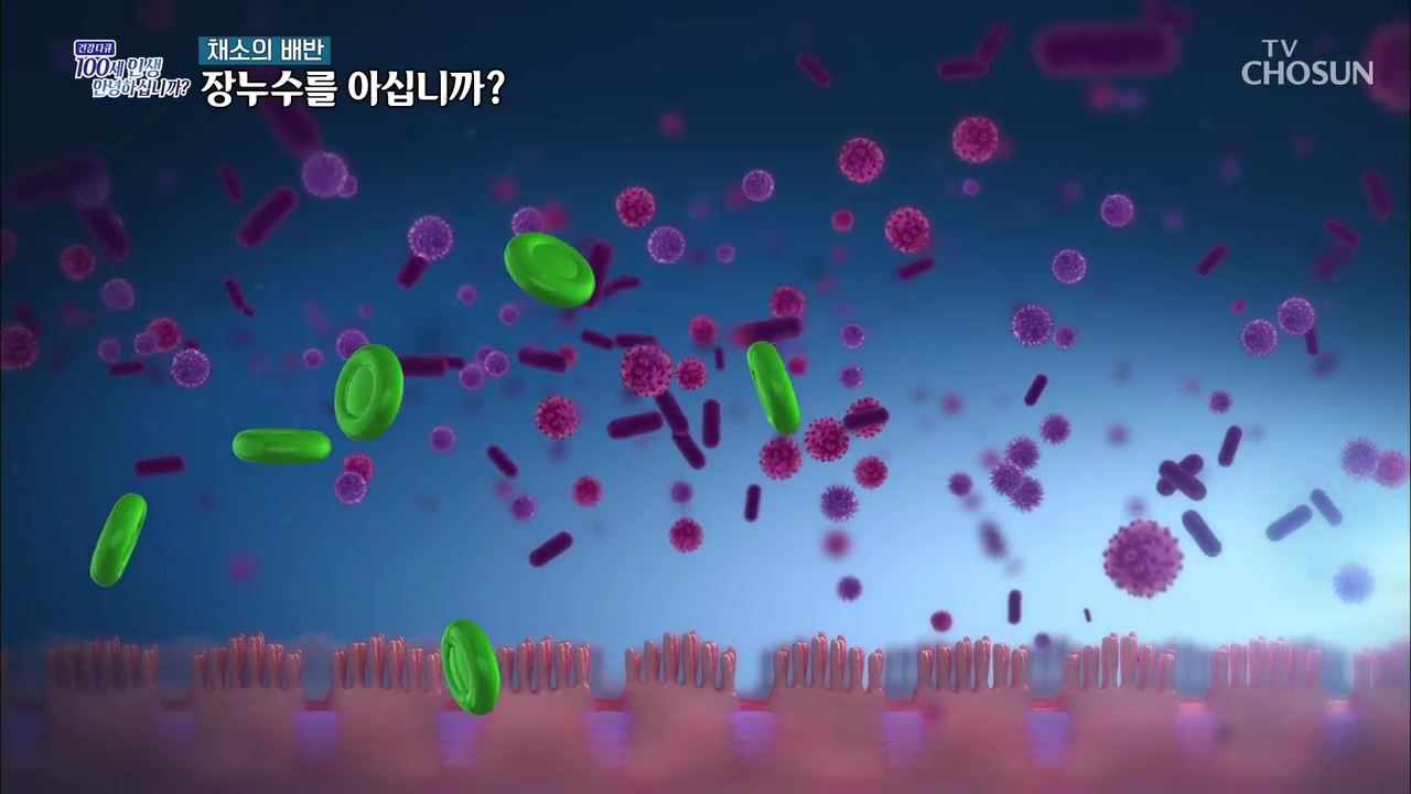 건강다큐 82회 - 채소의 배반 장누수를 아십니까?