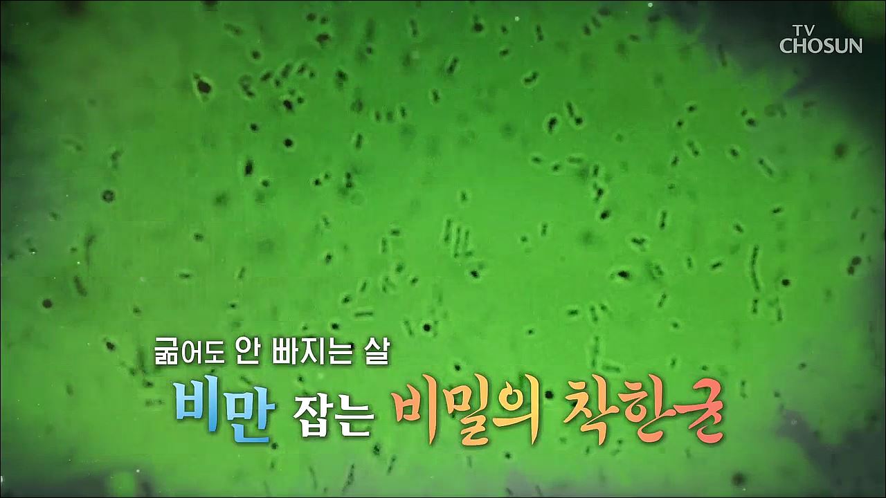 백세시대 프로젝트 위대한 유산 76회
