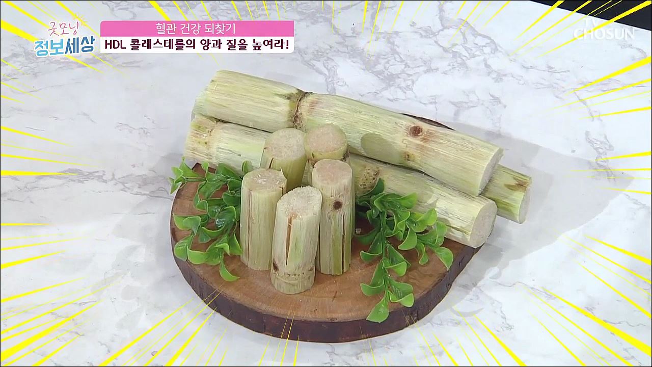굿모닝 정보세상 194회