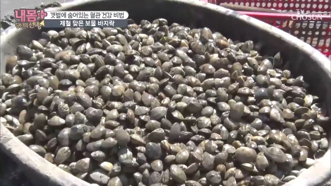 내 몸 플러스 194회