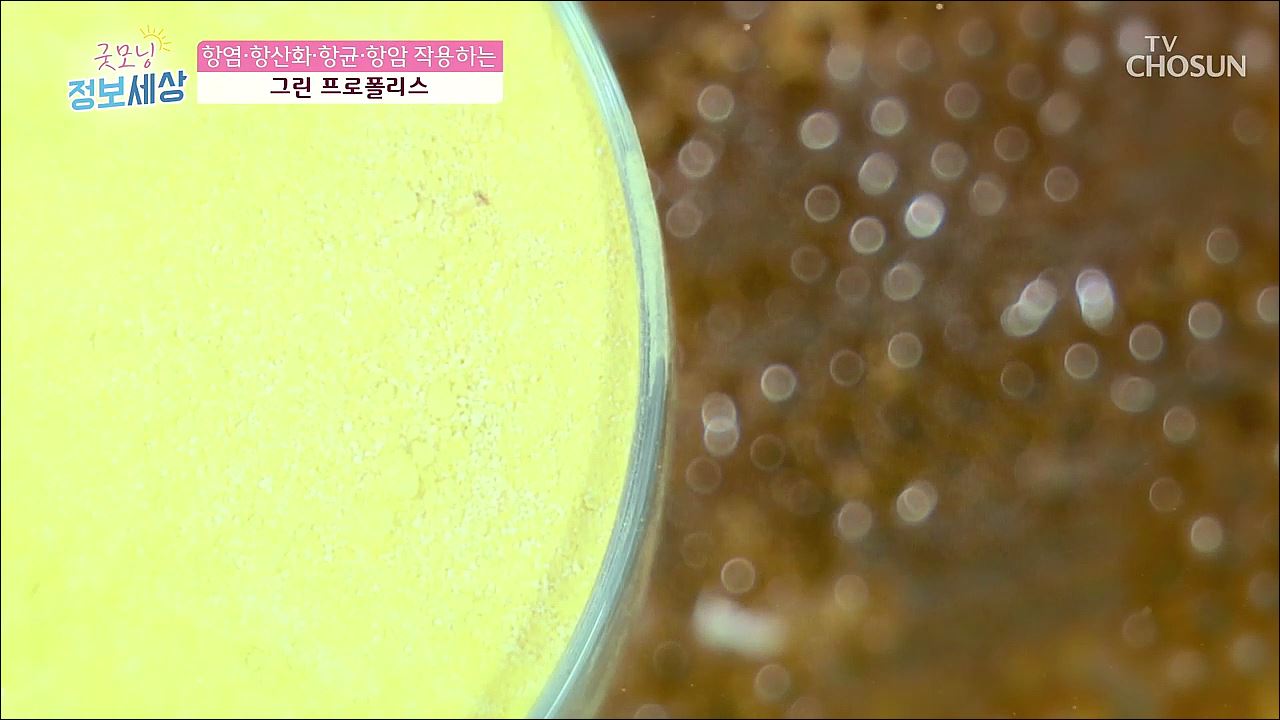 굿모닝 정보세상 196회