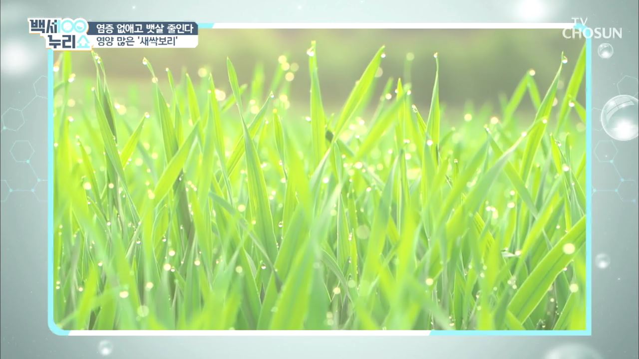 백세누리쇼 20회