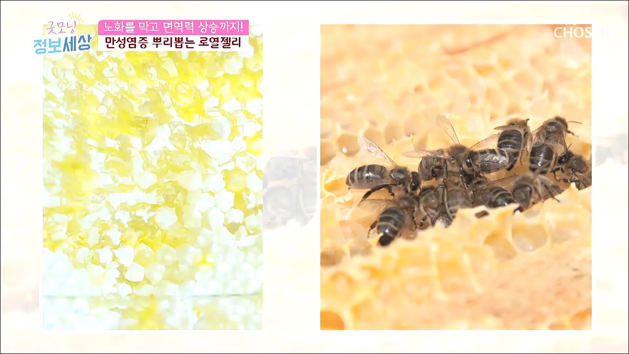 굿모닝 정보세상 199회
