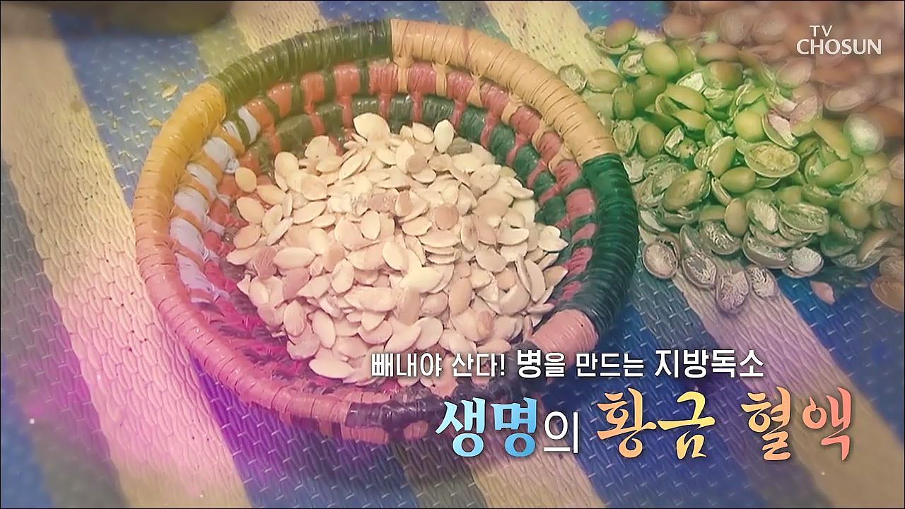 백세시대 프로젝트 위대한 유산 78회