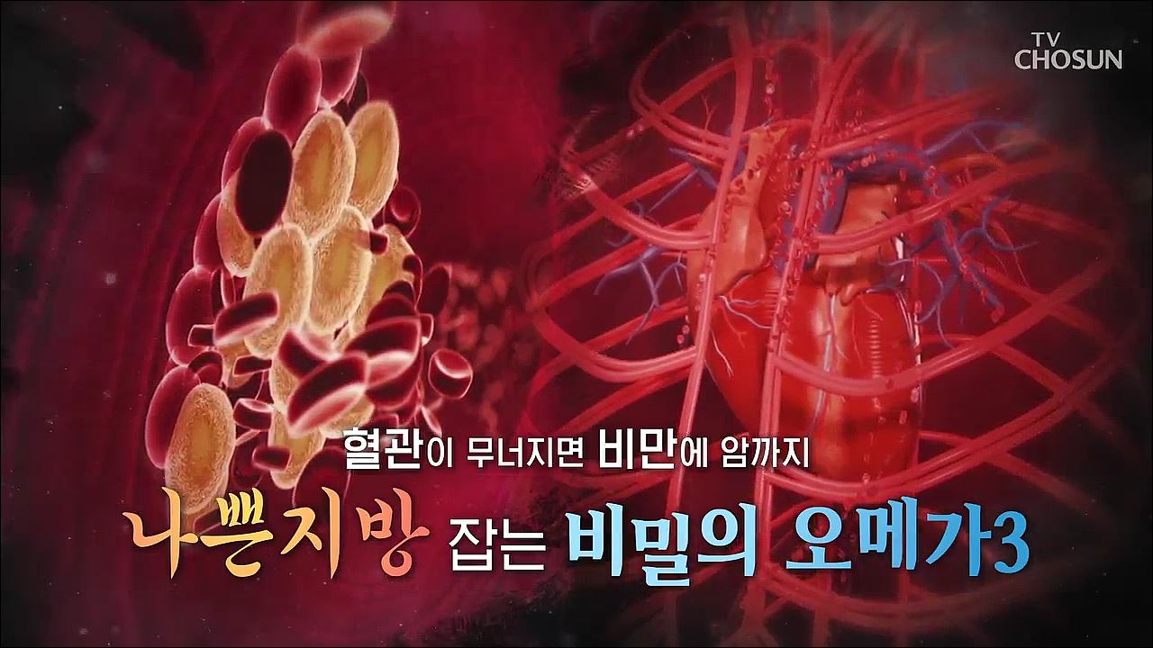 백세시대 프로젝트 위대한 유산 79회