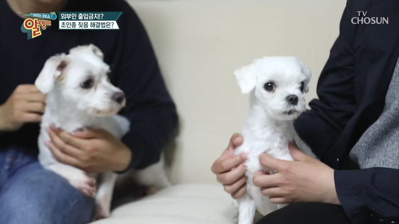 팡팡터지는 정보쇼 알맹이 72회