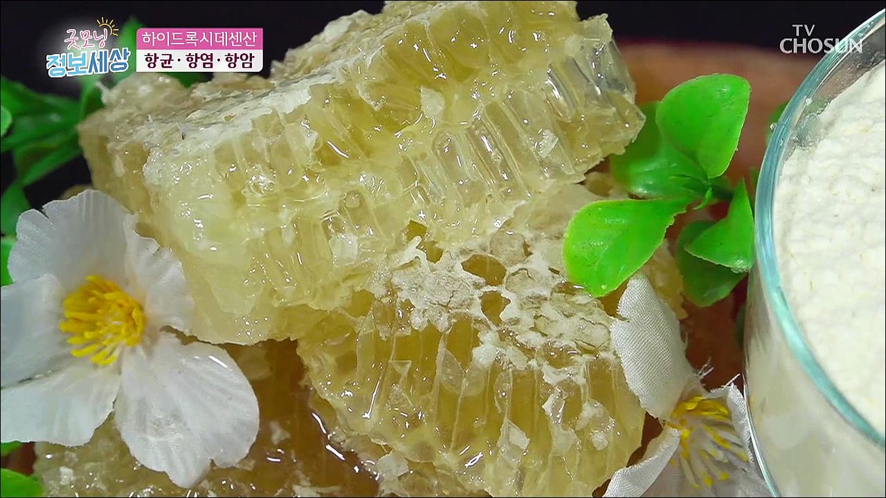 굿모닝 정보세상 207회