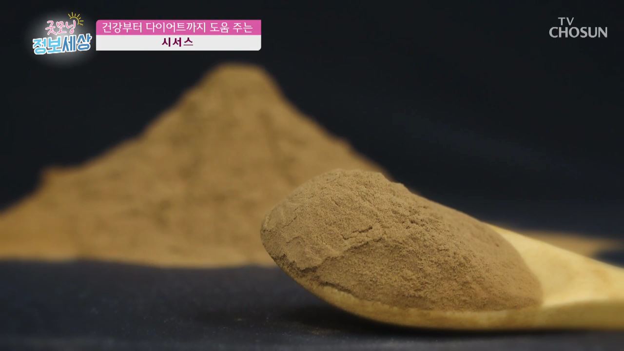 굿모닝 정보세상 208회