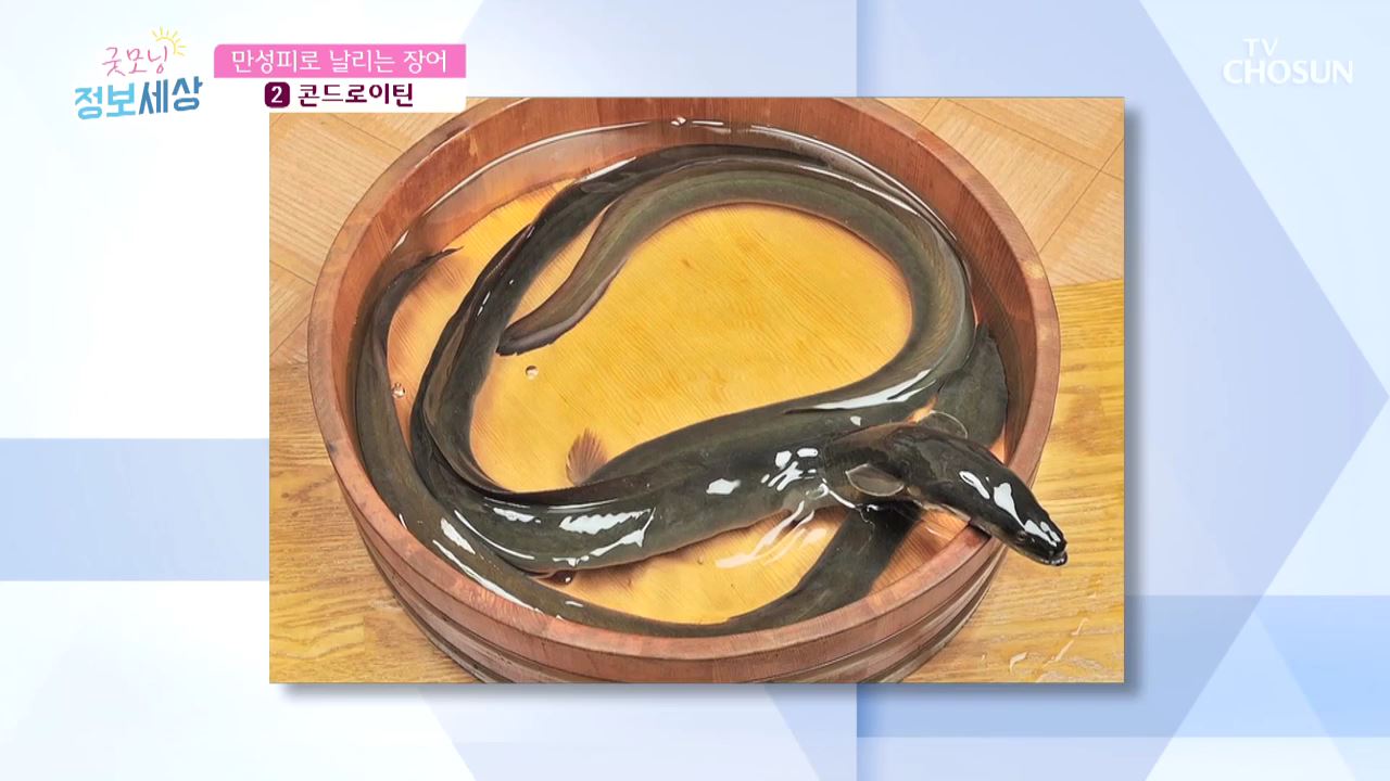 굿모닝 정보세상 209회