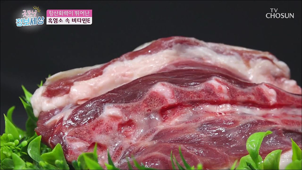 굿모닝 정보세상 210회