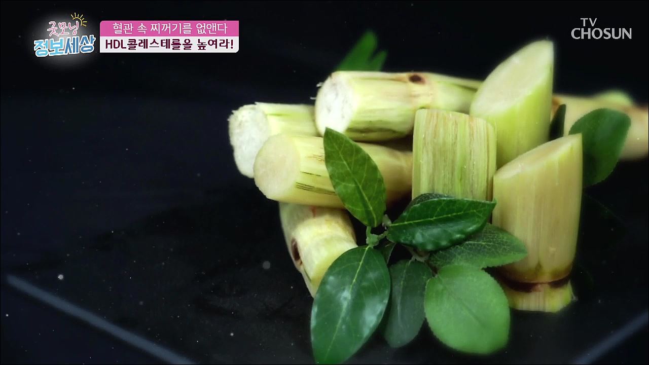 굿모닝 정보세상 211회