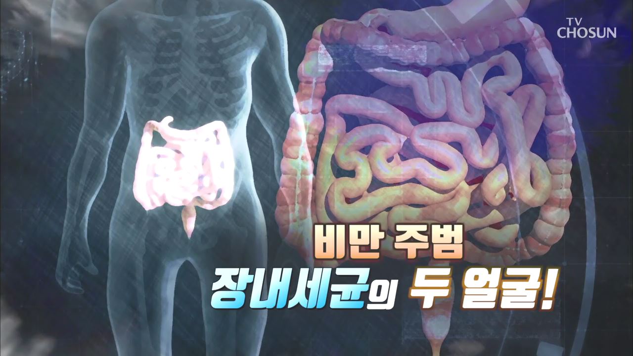 건강다큐 88회 - 비만 주범 장내세균의 두 얼굴!