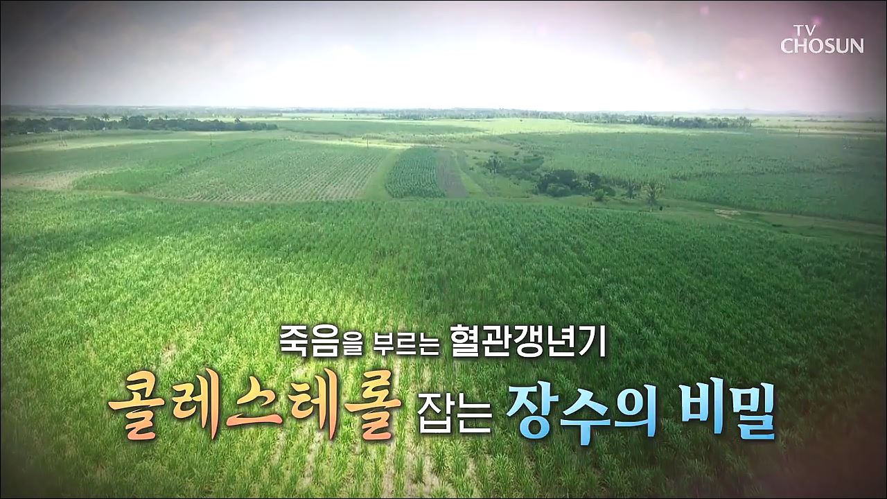 백세시대 프로젝트 위대한 유산 81회