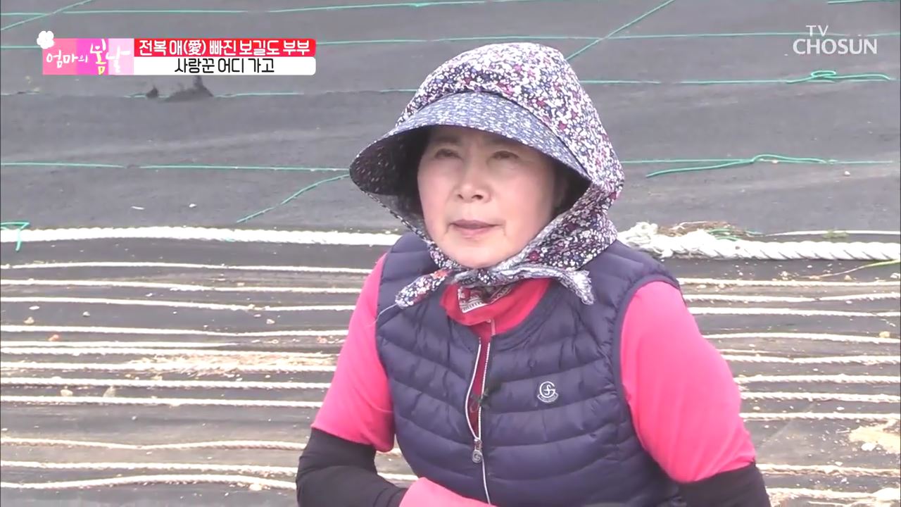 엄마의 봄날 245회