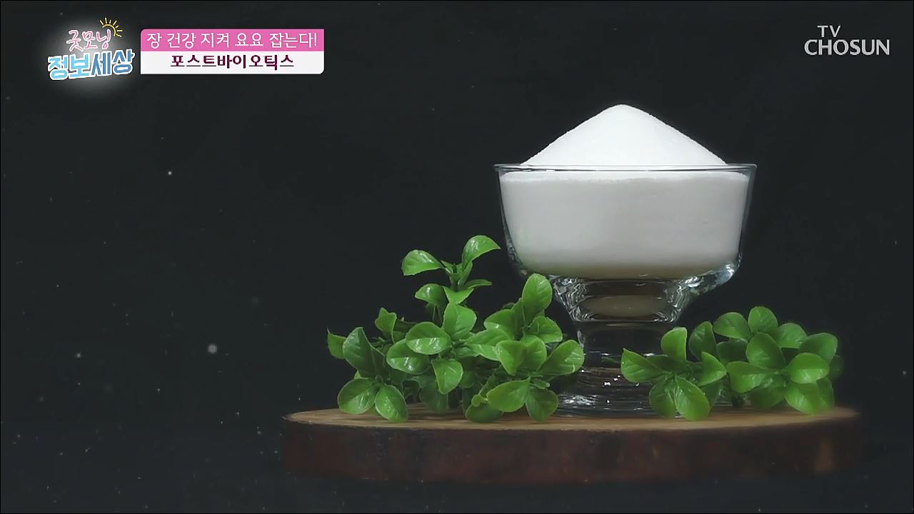 굿모닝 정보세상 214회