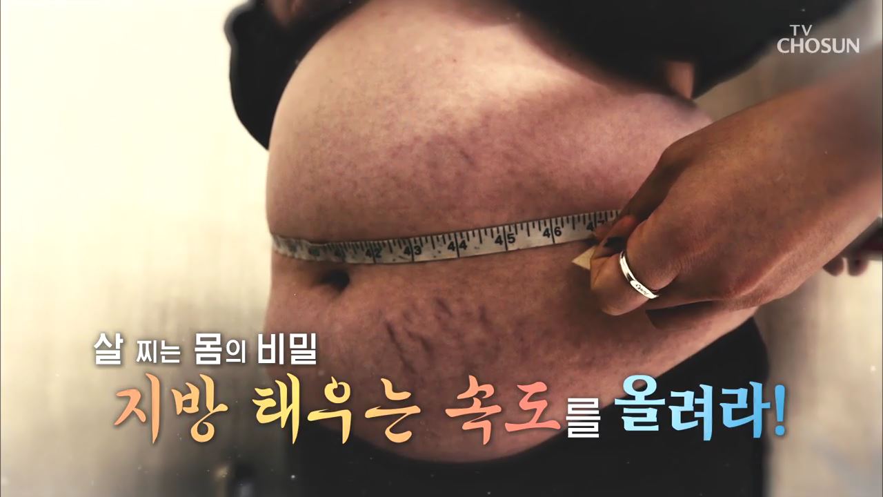 백세시대 프로젝트 위대한 유산 82회