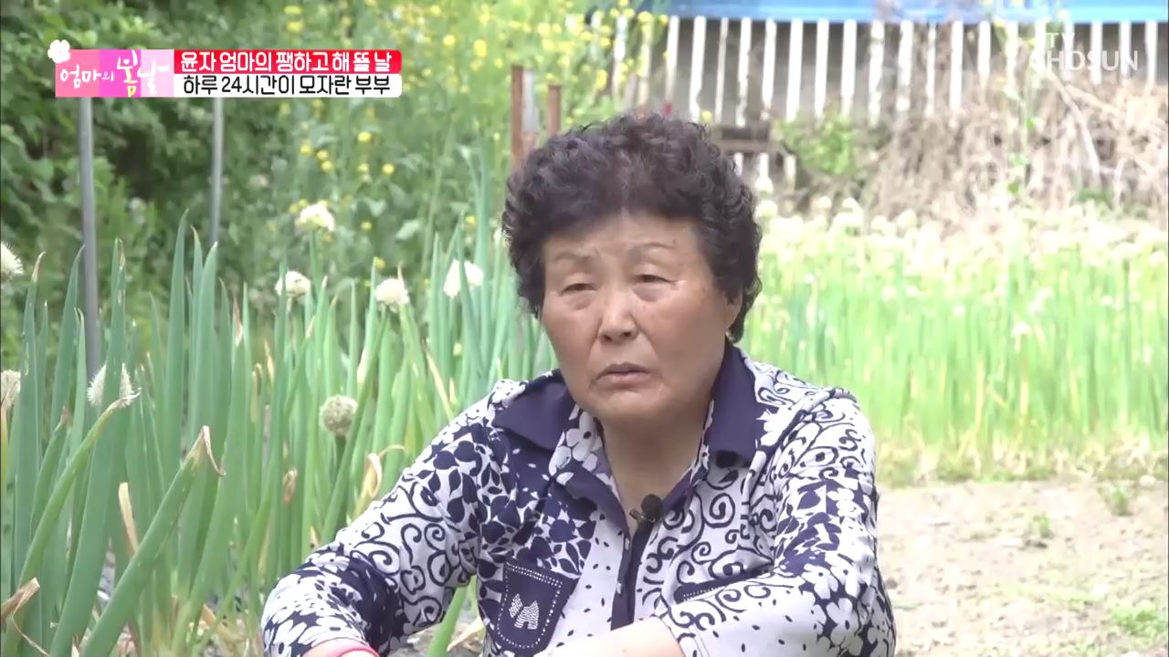엄마의 봄날 246회