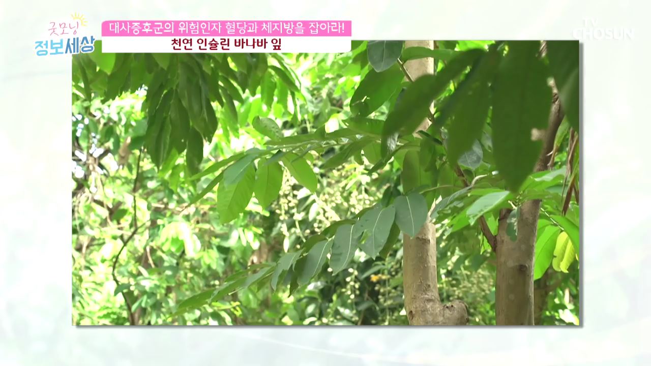 굿모닝 정보세상 216회