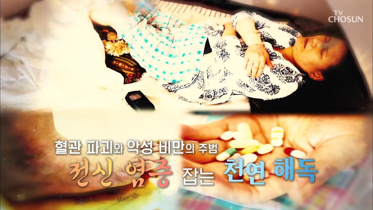 백세시대 프로젝트 위대한 유산 83회