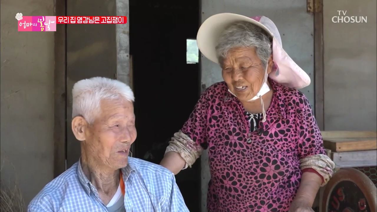 엄마의 봄날 247회