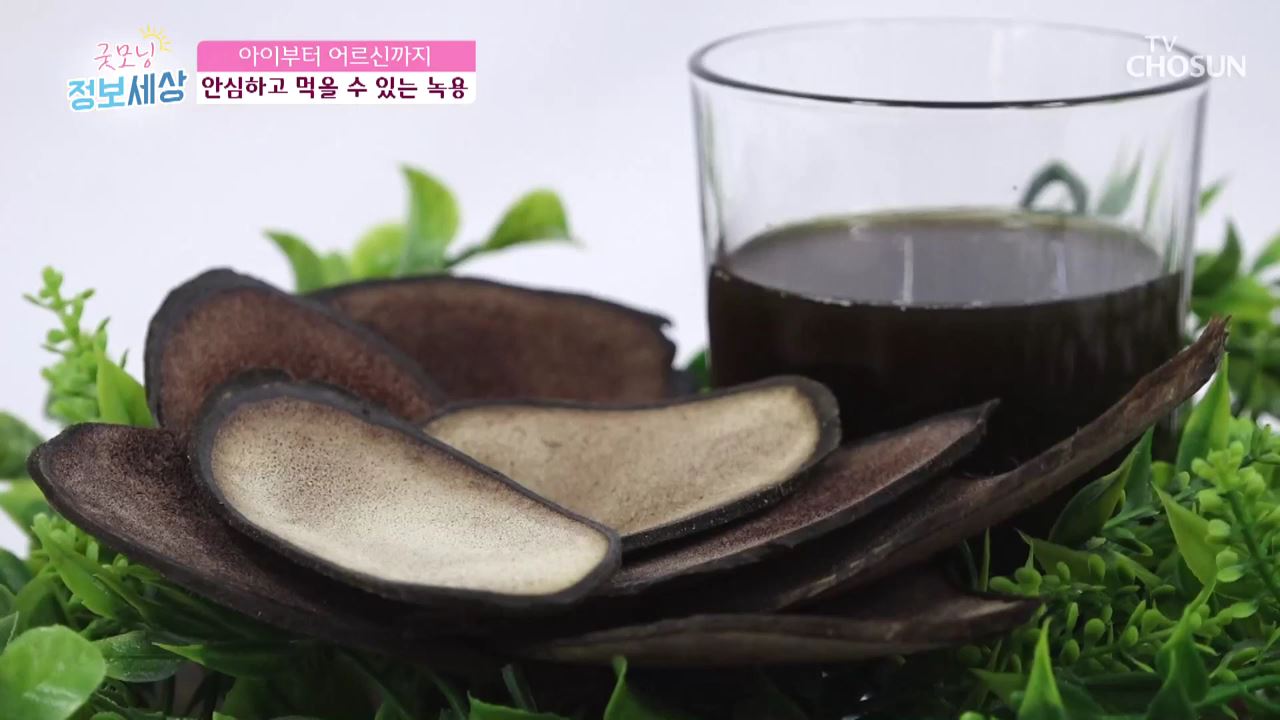 굿모닝 정보세상 220회