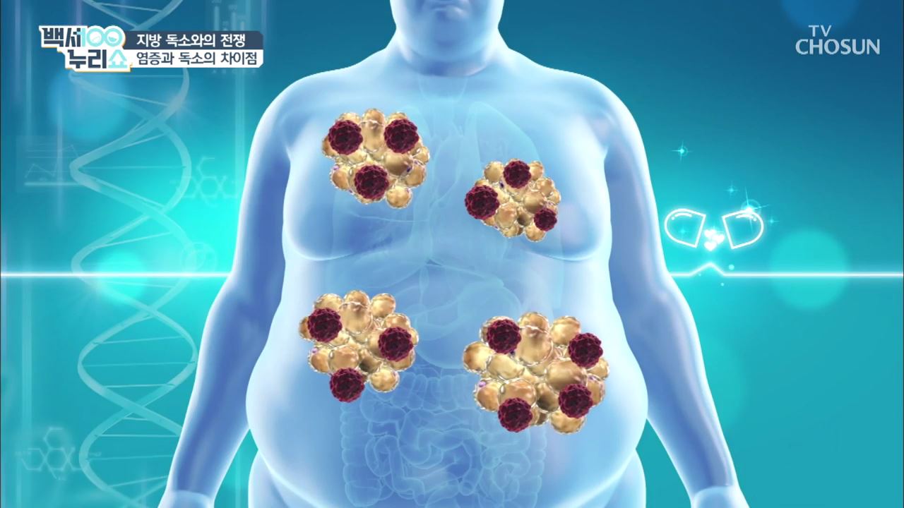 백세누리쇼 26회