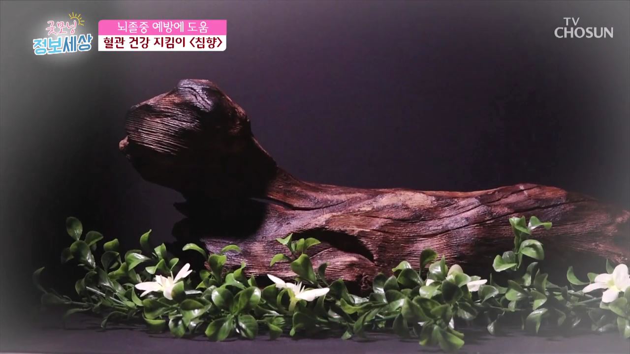 굿모닝 정보세상 223회